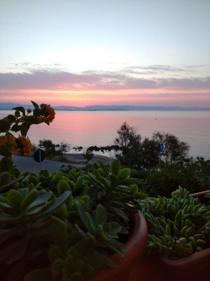 La Maddalena Casa Bon' Aria Fronte Mare Sud Sardegna别墅 外观 照片
